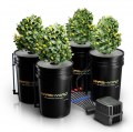 Система DWC Mars Hydro 20л на 4 растения